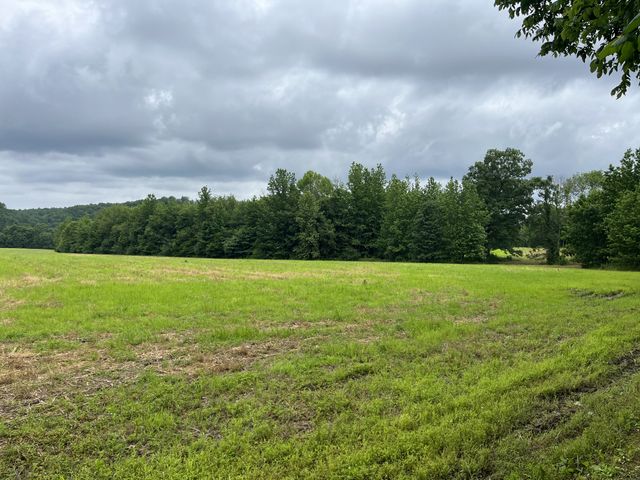 0 Stringfellow road, White Bluff, TN 37187