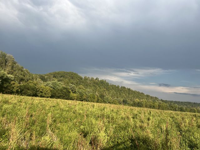 0 Stringfellow road, White Bluff, TN 37187