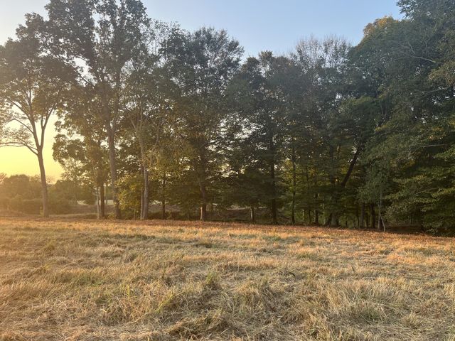 0 Stringfellow road, White Bluff, TN 37187