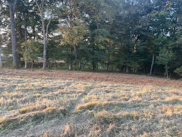 0 Stringfellow road, White Bluff, TN 37187