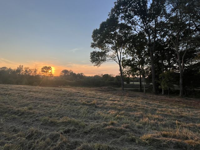 0 Stringfellow road, White Bluff, TN 37187