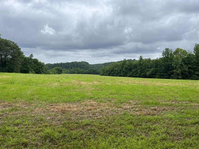 0 Stringfellow road, White Bluff, TN 37187