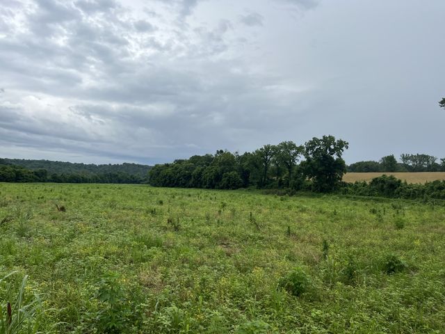 0 Stringfellow road, White Bluff, TN 37187