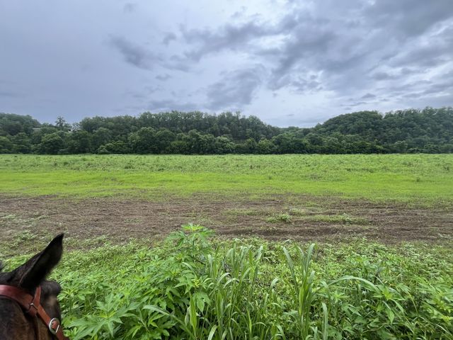 0 Stringfellow road, White Bluff, TN 37187