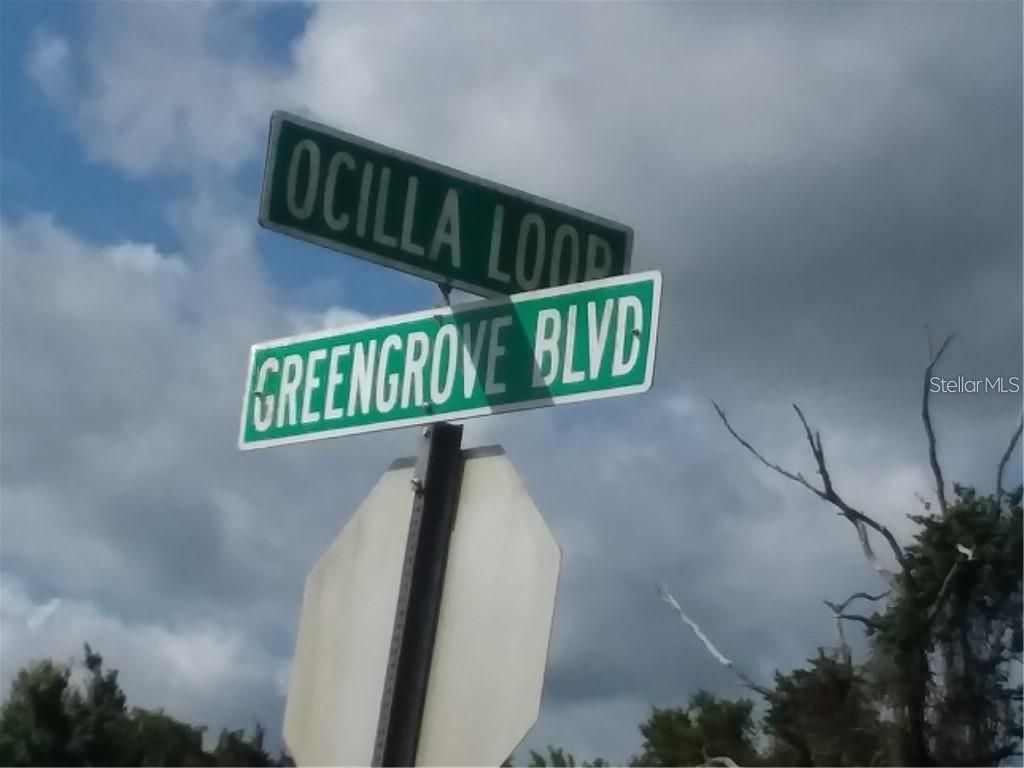 GREENGROVE BOULEVARD LOT26, Clermont, FL 34714