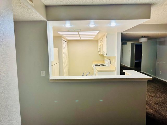 13610 S VILLAGE DRIVE 4111, Tampa, FL 33618