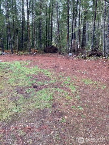 10 N Tyee Place, Hoodsport, WA 98548