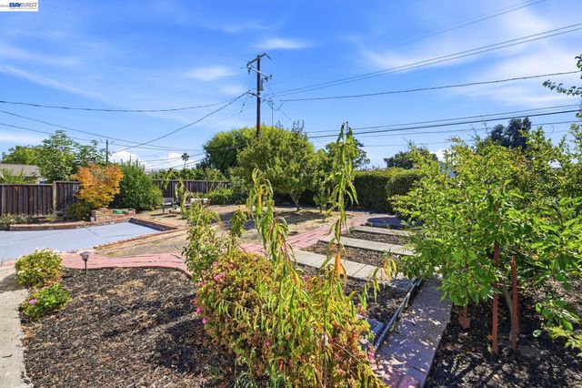 41441 Paseo Padre Pkwy, Fremont, CA 94539