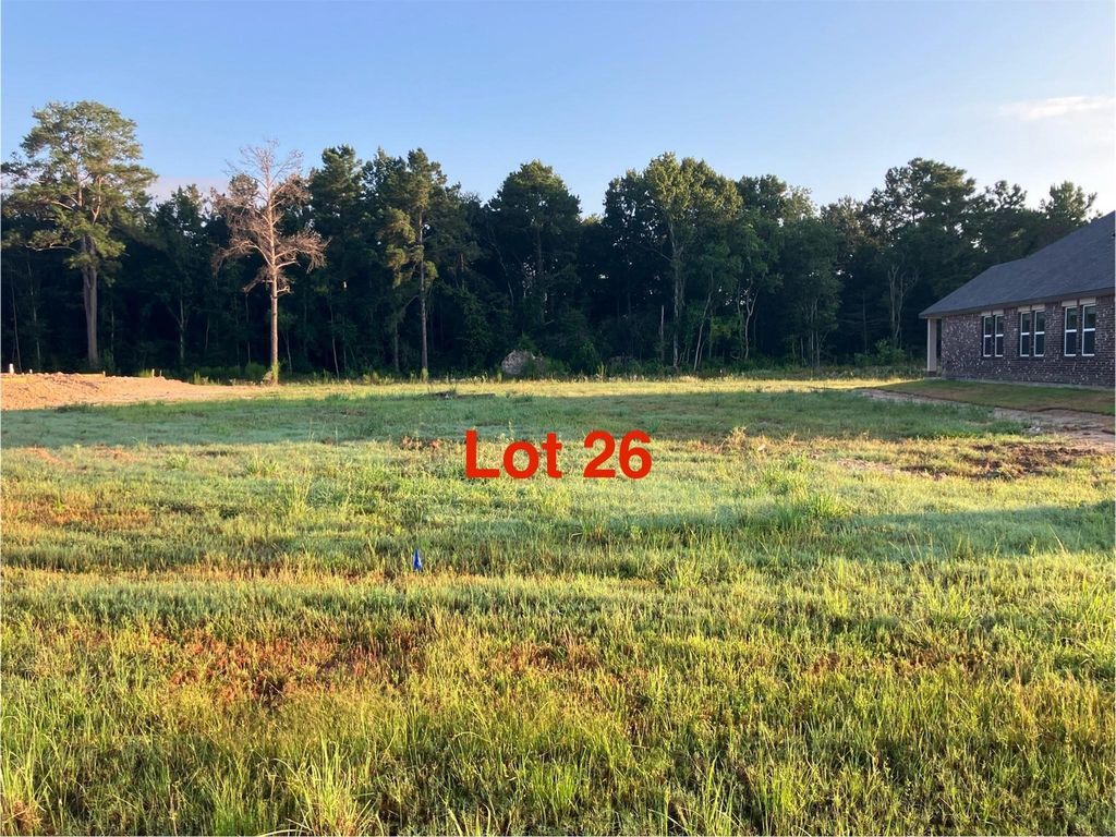 1070 Tarkington Timbers Drive, Cleveland, TX 77327