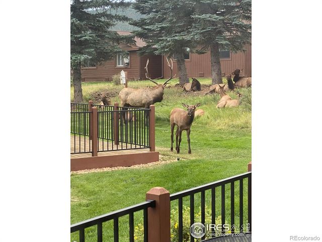 1422 Matthew Circle 2, Estes Park, CO 80517