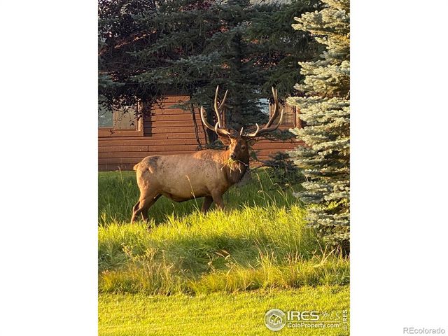 1422 Matthew Circle 2, Estes Park, CO 80517