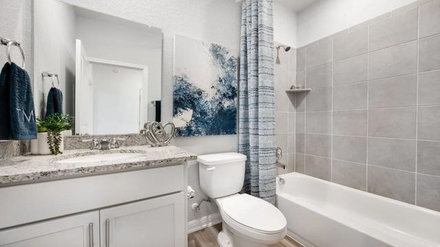 439 Breccia TRL, Liberty Hill, TX 78642