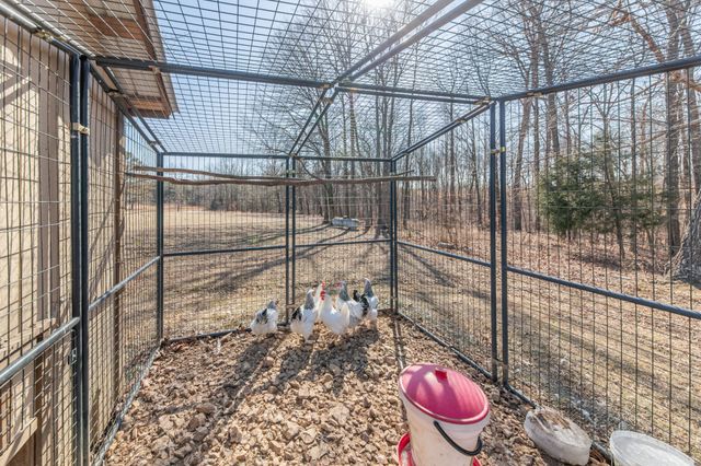 1825 Powell School Rd, Goodspring, TN 38460