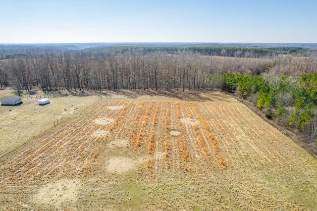 1825 Powell School Rd, Goodspring, TN 38460