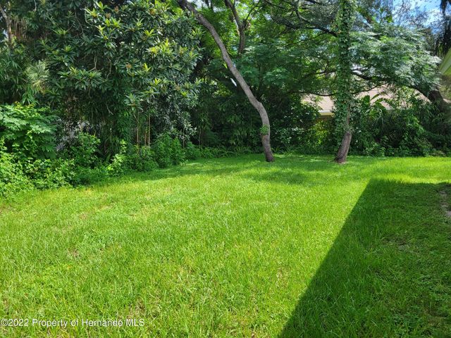 1182 Hallcrest Avenue, Spring Hill, FL 34608