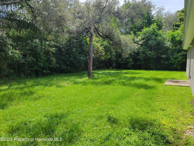 1182 Hallcrest Avenue, Spring Hill, FL 34608