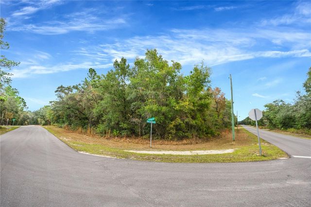 TOP ROCK DRIVE, Webster, FL 33597