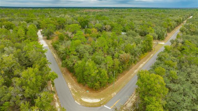 TOP ROCK DRIVE, Webster, FL 33597