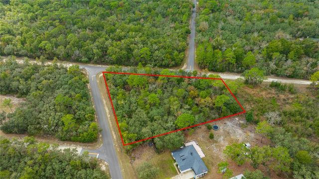 TOP ROCK DRIVE, Webster, FL 33597