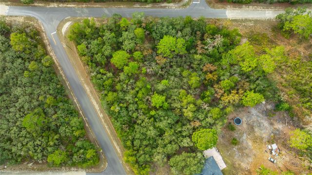 TOP ROCK DRIVE, Webster, FL 33597