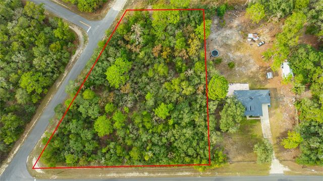 TOP ROCK DRIVE, Webster, FL 33597