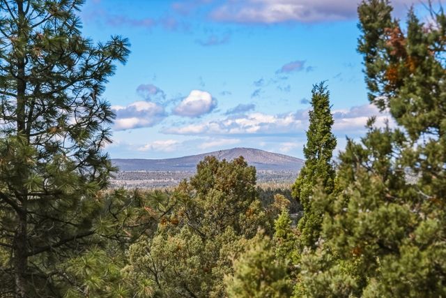 1496 NW Puccoon Court, Bend, OR 97703