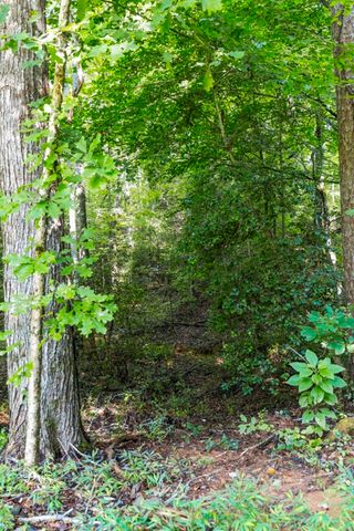 433 Burns Mill Road, West Union, SC 29696
