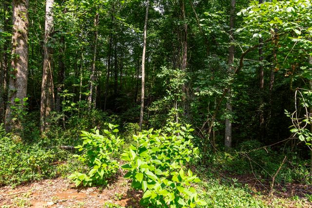 433 Burns Mill Road, West Union, SC 29696