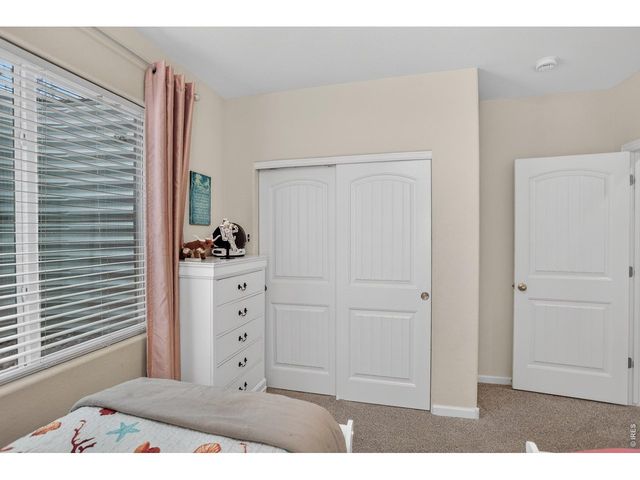 5901 Red Bridge Dr, Timnath, CO 80547