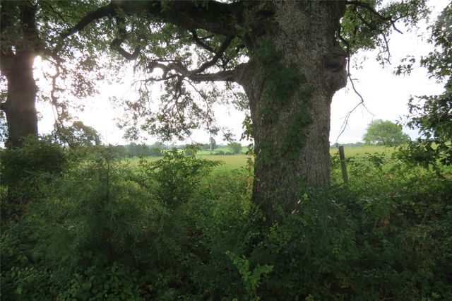 355 CR 3204, Quitman, TX 75783