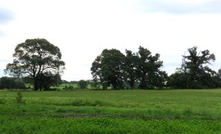 355 CR 3204, Quitman, TX 75783