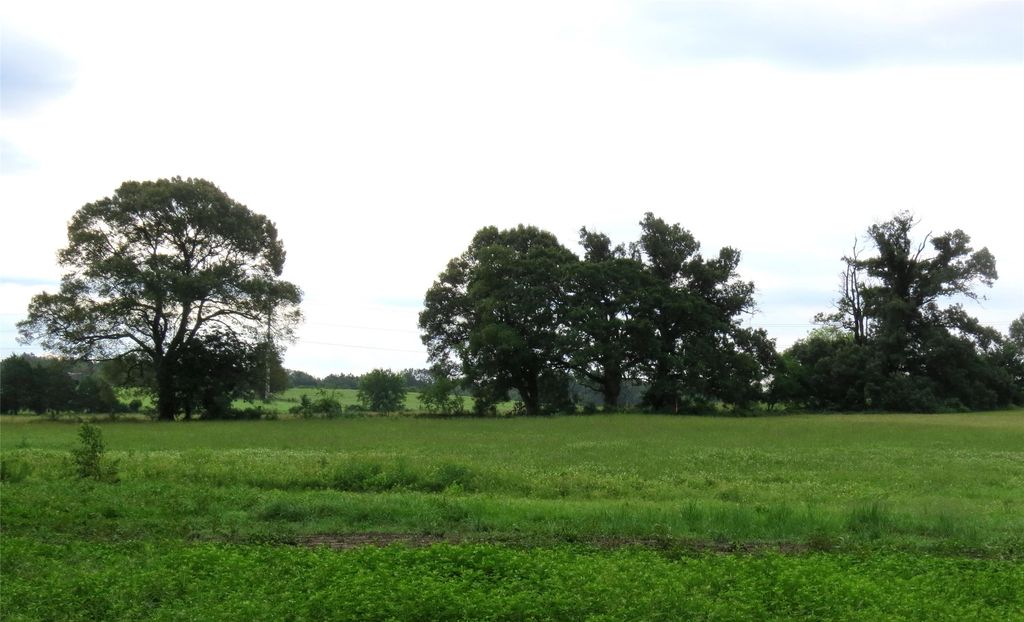 355 CR 3204, Quitman, TX 75783