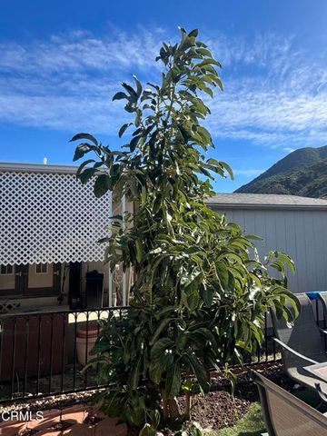 8 Isabel Avenue 81, Camarillo, CA 93012