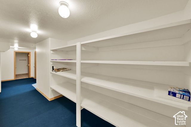 12020 S 4000 W, Riverton, UT 84096