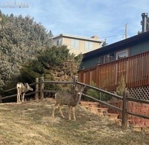 320 Columbine Road, Palmer Lake, CO 80133