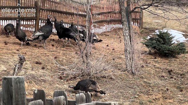 320 Columbine Road, Palmer Lake, CO 80133