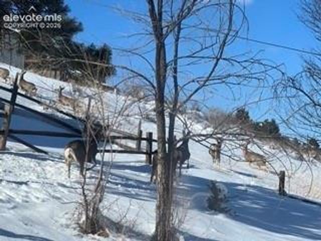 320 Columbine Road, Palmer Lake, CO 80133