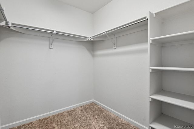 12195 Hornbeam Street, Parker, CO 80134