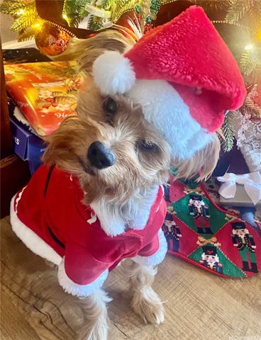 46-035 Konohiki Street 3832, Kaneohe, HI 96744