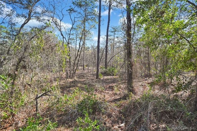 17 Elder Court E, Homosassa, FL 34446