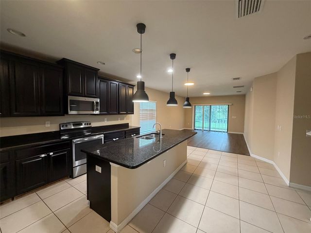 15213 ANTILLES ISLE LANE, Tampa, FL 33647
