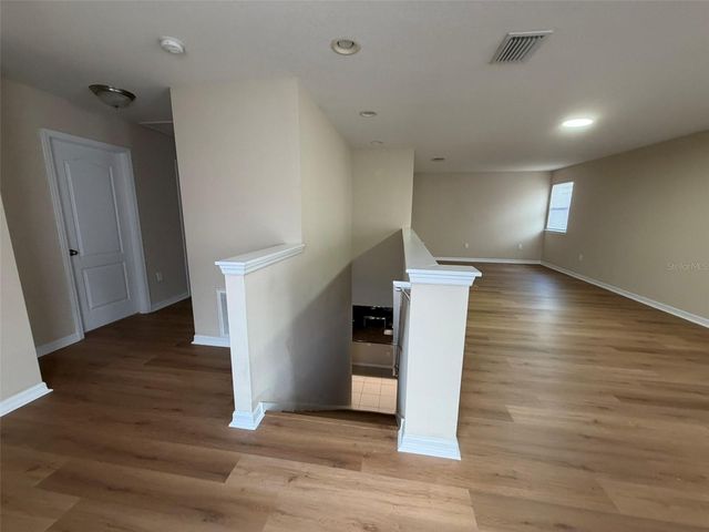 15213 ANTILLES ISLE LANE, Tampa, FL 33647