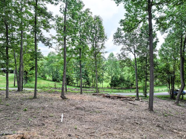 Lot 4r J Mell Johnson Road, Greeneville, TN 37743