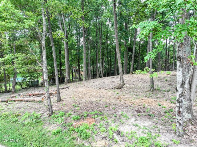 Lot 4r J Mell Johnson Road, Greeneville, TN 37743