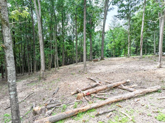 Lot 4r J Mell Johnson Road, Greeneville, TN 37743