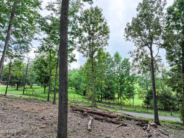 Lot 4r J Mell Johnson Road, Greeneville, TN 37743