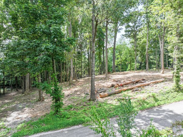 Lot 4r J Mell Johnson Road, Greeneville, TN 37743