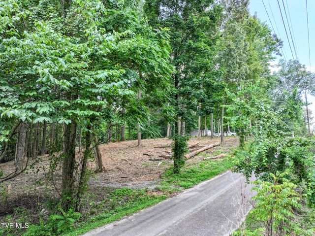 Lot 4r J Mell Johnson Road, Greeneville, TN 37743