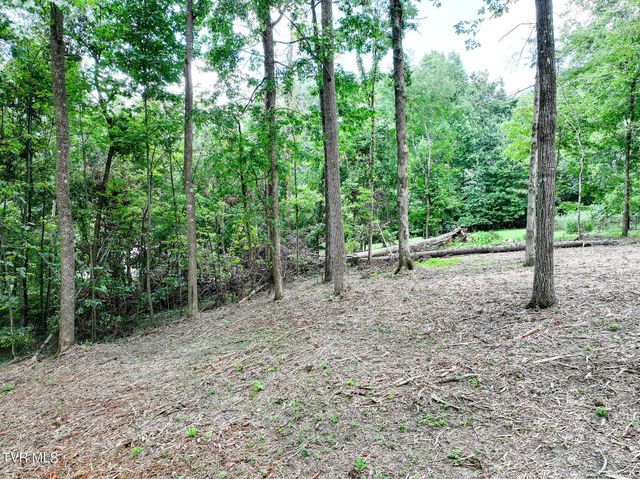 Lot 4r J Mell Johnson Road, Greeneville, TN 37743