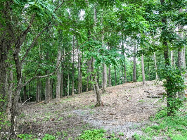 Lot 4r J Mell Johnson Road, Greeneville, TN 37743